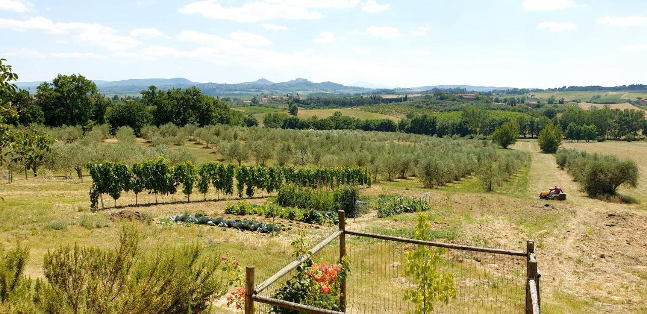 Casina Di Pacina Villa Abbadia di Montepulciano Exteriör bild